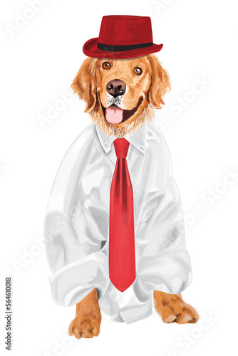 dog with shirt and tie
