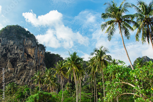 Scenic view of palm trees and limestone cliffs on a beach in Thailand