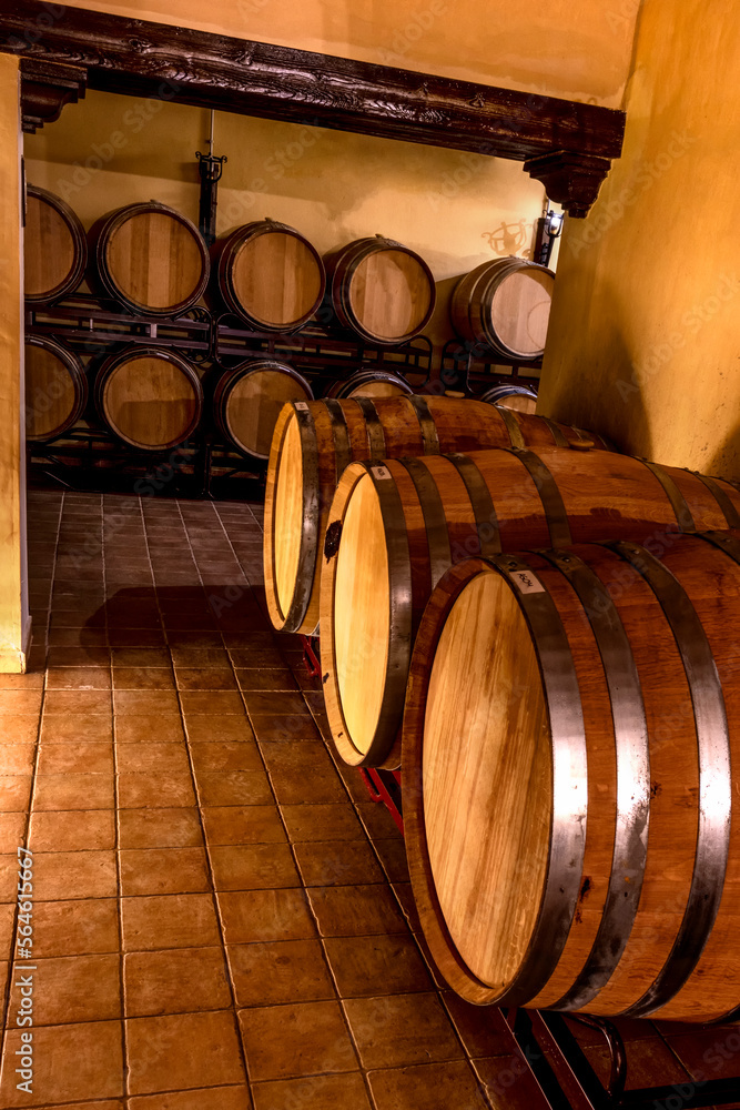 Cellar with wine barrels from a small family winery