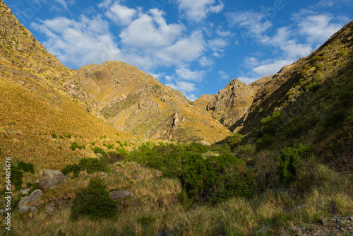 Vista de las sierras de los comechingones en Merlo, San Luis, Argentina. Cielo con nubes y bosque de tabaquillos en una quebrada.