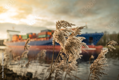 Nord Ostsee Kanal, Containerschiff im NOK. Sonnenuntergang am Kiel Kanal. Der Kanal verläuft durch ganz unterschiedliche Landschaften. Die Uferböschung beherbergt zahlreiche Tierarten. photo