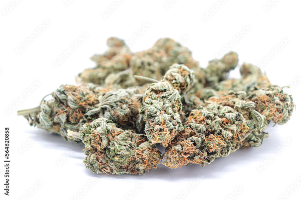 Weed buds on white background. Isolated drug Weed buds on white background. Isolated drug
