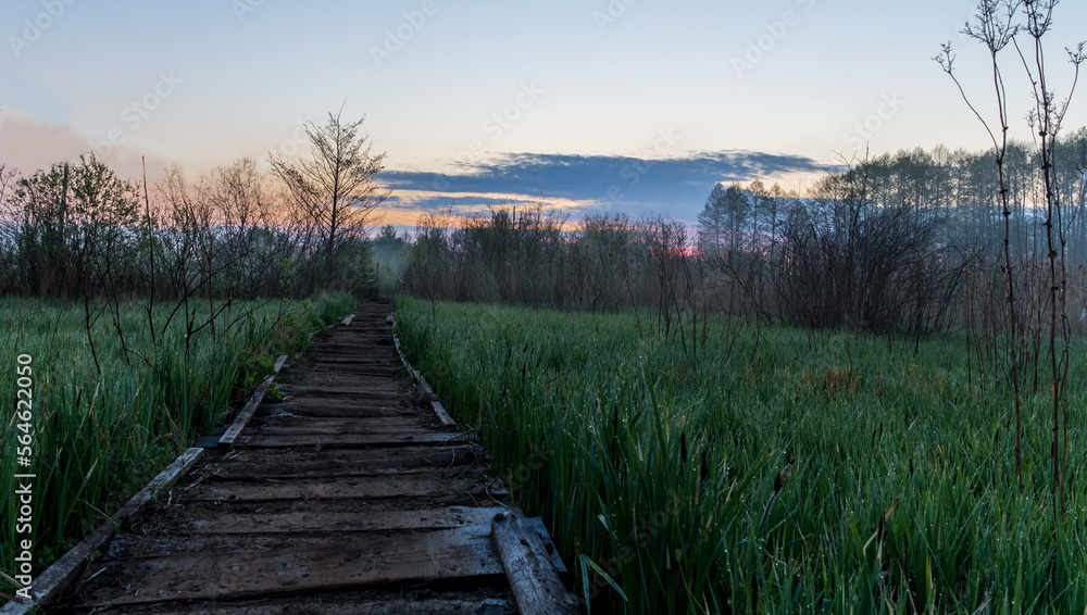 Obraz premium wooden bridge over lake