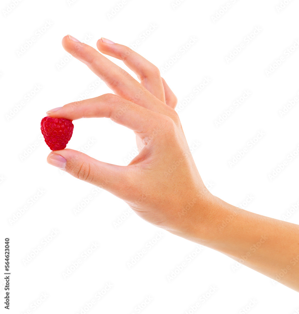 PNG Cropped studio shot of a woman holding a raspberry PNG Cropped studio shot of a woman holding a raspberry