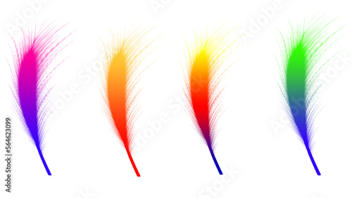colorful feathers PNG IMAGES ROYALITY FREE DOWNLOAD