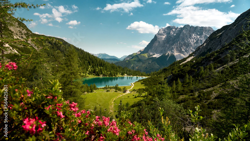 wundeerschönes Szene mit Alpenrosen, Seebensee und Wetterstein Massiv bei Kaiserwetter im Sommer © Basaltblick
