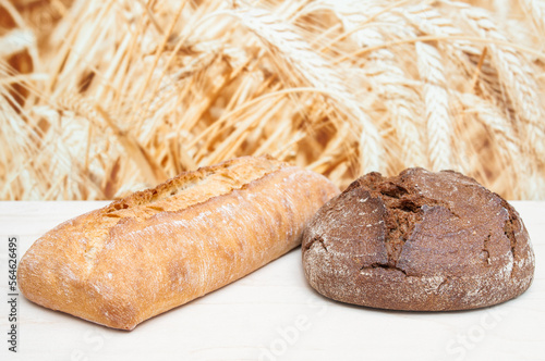 Freshly baked rye bread and ciabatta on wheat ears background