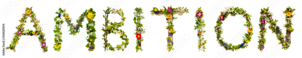 Blooming Flower Letters Building English Word Ambition Blooming Flower Letters Building English Word Ambition