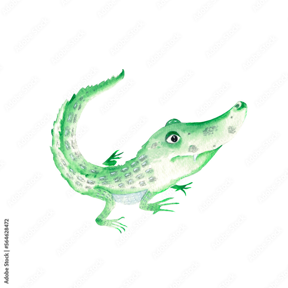 Fototapeta premium Cute baby alligator. Isolated on white background. Watercolor hand drawn illustration. Perfect for kids cards and posters, clothes prints, stickers, alphabet design.