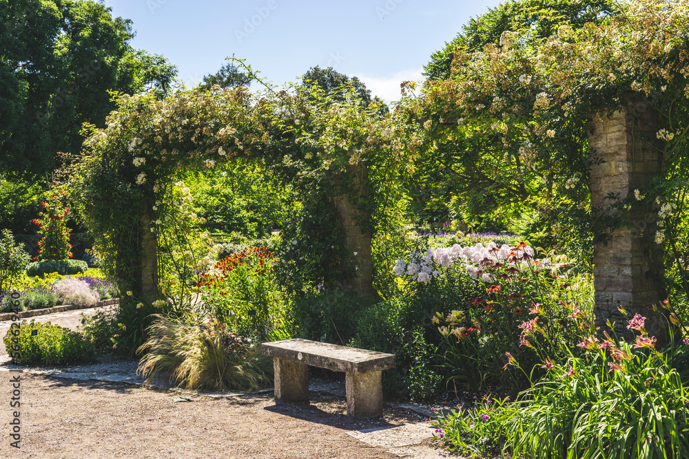 Fototapeta premium bench in the garden
