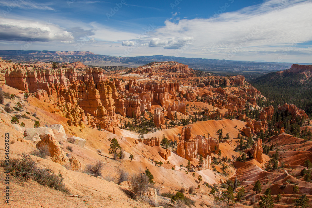 Bryce Canyon landscape 2498