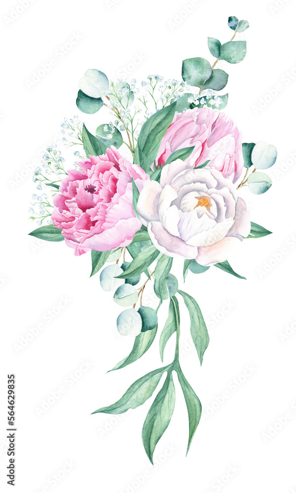 Watercolor bouquet, white and pink peony, eucalyptus and gypsophila branches. Hand painted illustration isolated on white background. Can be used for greeting cards, wedding invitations, save the date