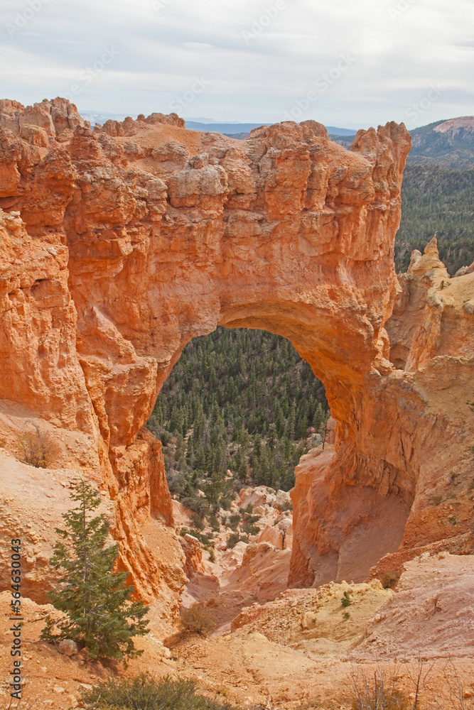 View over Bryce Canyon 2418