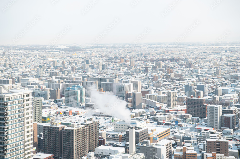 Fototapeta premium 北海道 札幌 冬景色 素材