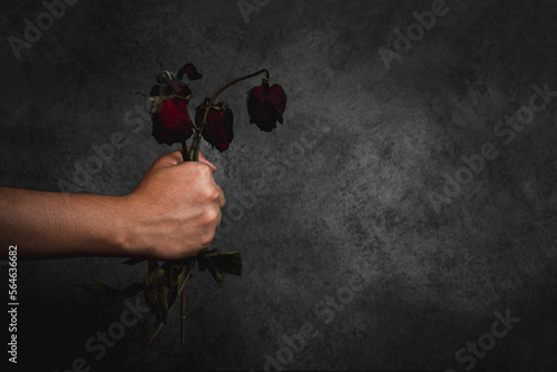 Valokuva hand holding red dry withered roses on a black background flowers