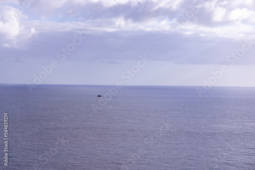 Gaviota volando sobre el mar © Sergio Capture