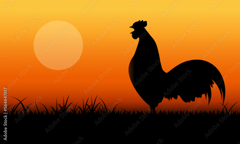 Fototapeta premium crowing rooster silhouette in the grassland with yellow sunrise. vector illustration