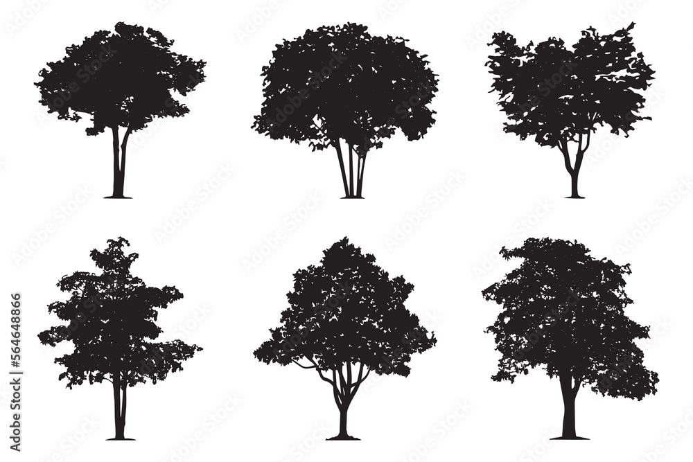 Fototapeta premium Black tree silhouettes on white background. Red maple, sugar maple, oak, poplar, green oak, birch, mango. Vector illustration. 