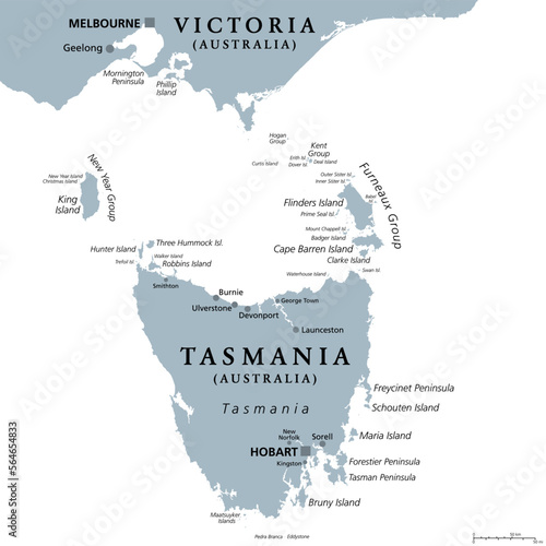 Tasmania and the surrounding area  gray political map. Australian island state with capital Hobart  south of Victoria and the Australian mainland  encompassing island Tasmania and surrounding islands.