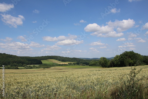 Panorama pól uprawnych z kłosami zbóż na tle pagórków, Polska, dolnośląskie