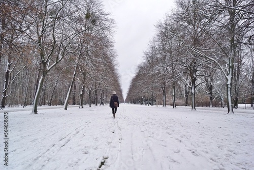 Großer Garten (Winter)