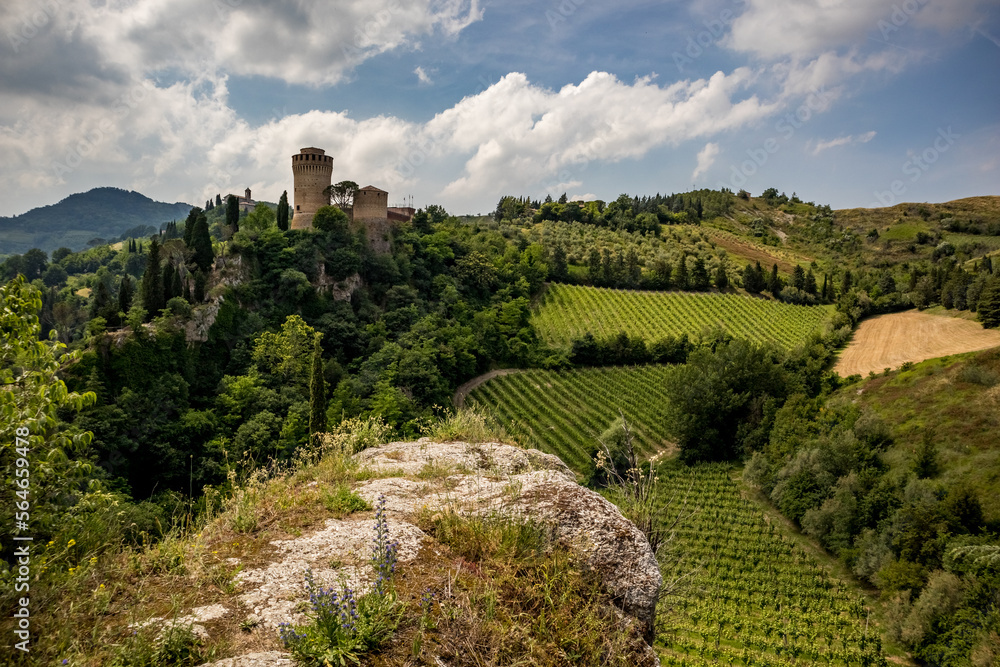 Countryside scenery view with vineyard and stone tower, Eastern Italy