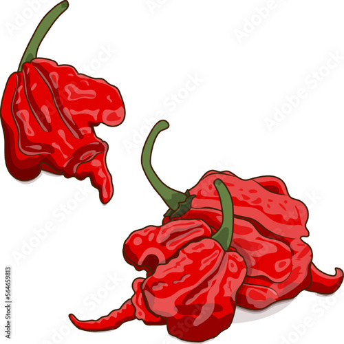 Group of Carolina Reaper peppers. HP22B. Capsicum chinense. Superhot or extremely hot chile pepper. Chili pepper. Vegetables. Cartoon style. Vector illustration isolated on white background.