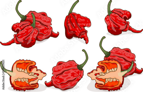 Set with whole, half of Carolina Reaper peppers. HP22B. Capsicum Chinese. Super hot chile pepper. Chili pepper. Vegetables. Cartoon style. Vector illustration isolated on white background.