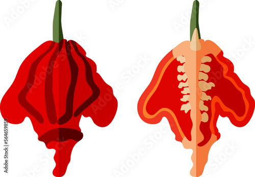 Set with whole, half of Carolina Reaper peppers. HP22B. Capsicum Chinese. Super hot chile pepper. Chili pepper. Vegetables. Flat style. Vector illustration isolated on white background.