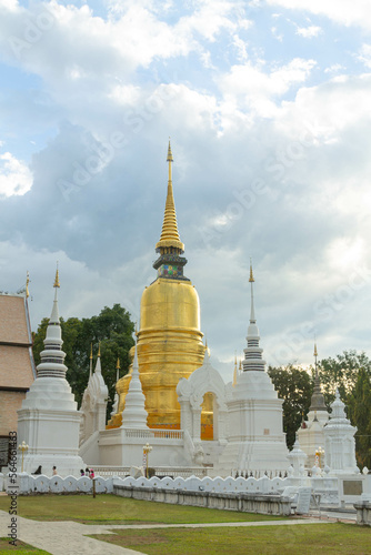 Golden and white pagodas in Wat Suan Dok, Chiang Mai