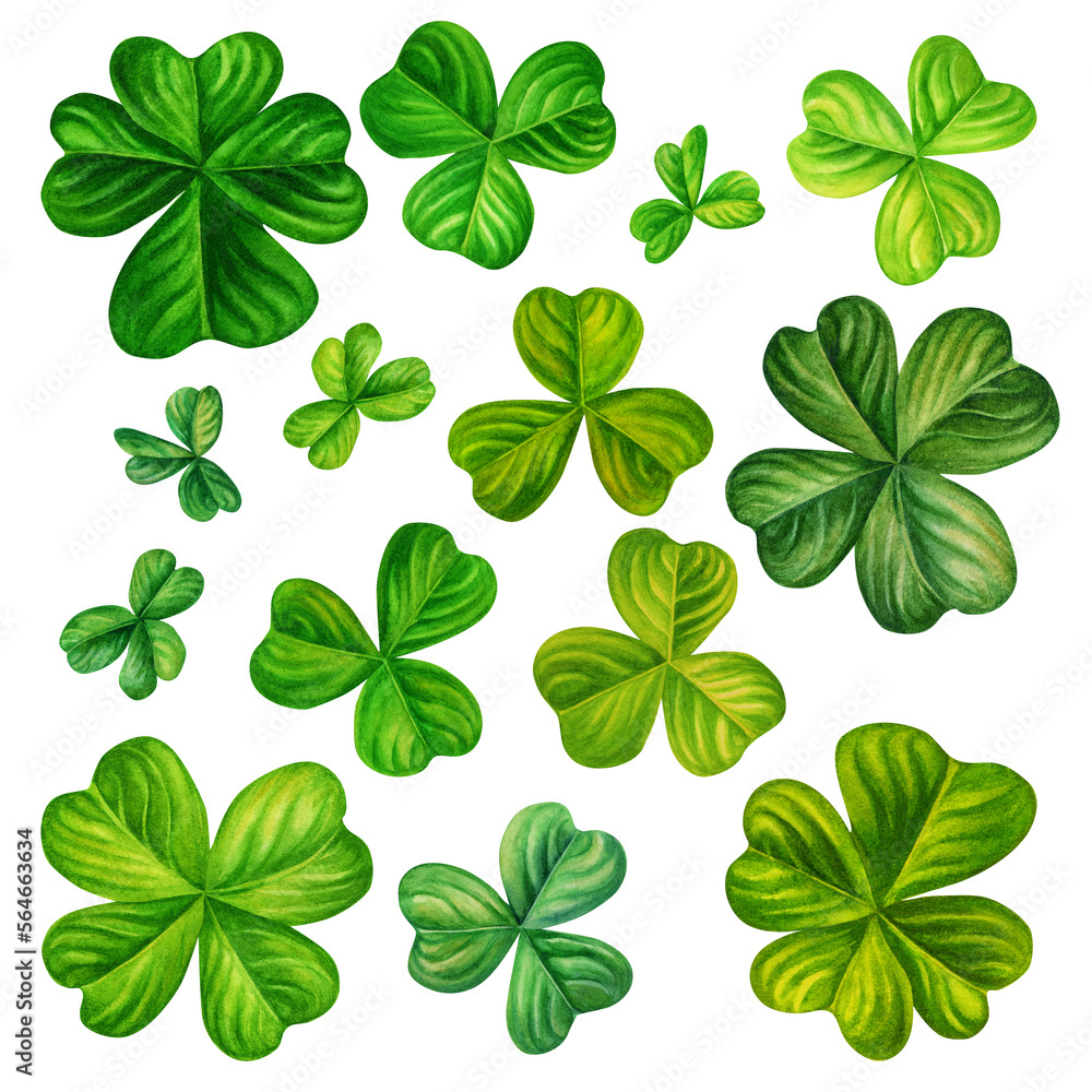 Watercolor hand drawn four leaf clover set for St. Patrick's Day for good luck. Element isolated on white background