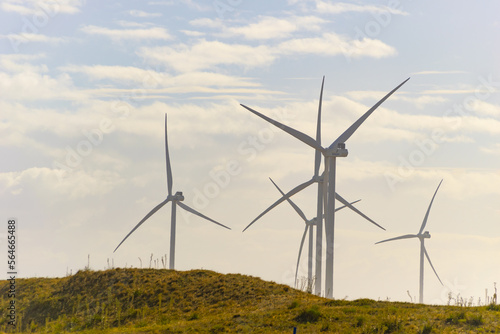 maquinas de aire eolicas para el viento en la naturaleza y plantas silvestres photo