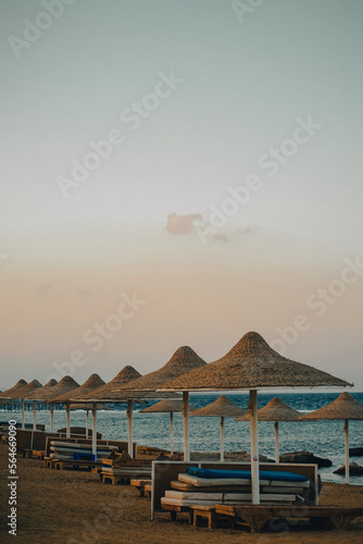 beach with umbrellas