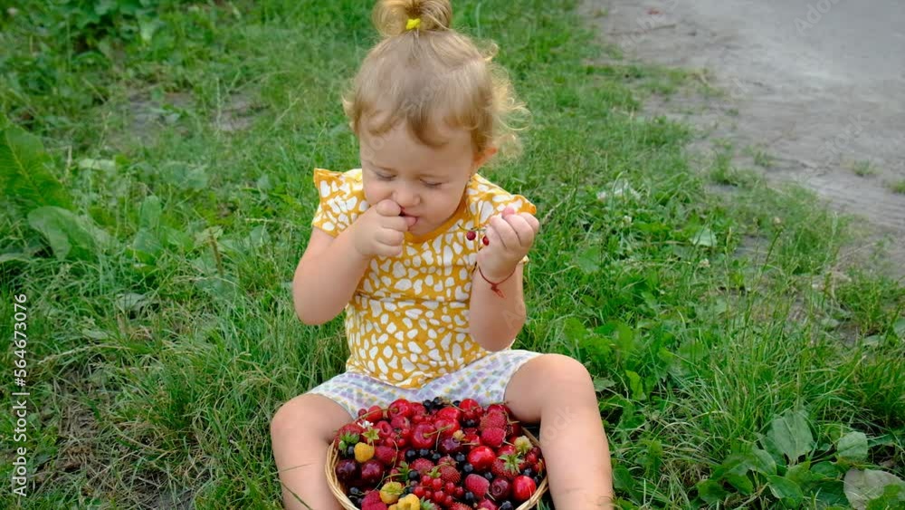 The child eats different berries in the garden. Selective focus. The child eats different berries in the garden. Selective focus.