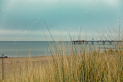 Blick durch die Dünen auf die Ostsee und die Seebrücke von Niendorf, Schleswig-Holstein, Deutschland