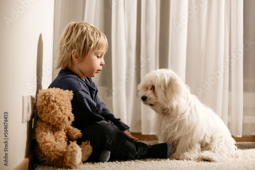 Angry little toddler child, blond boy, sitting in corner with teddy punished for mischief photo