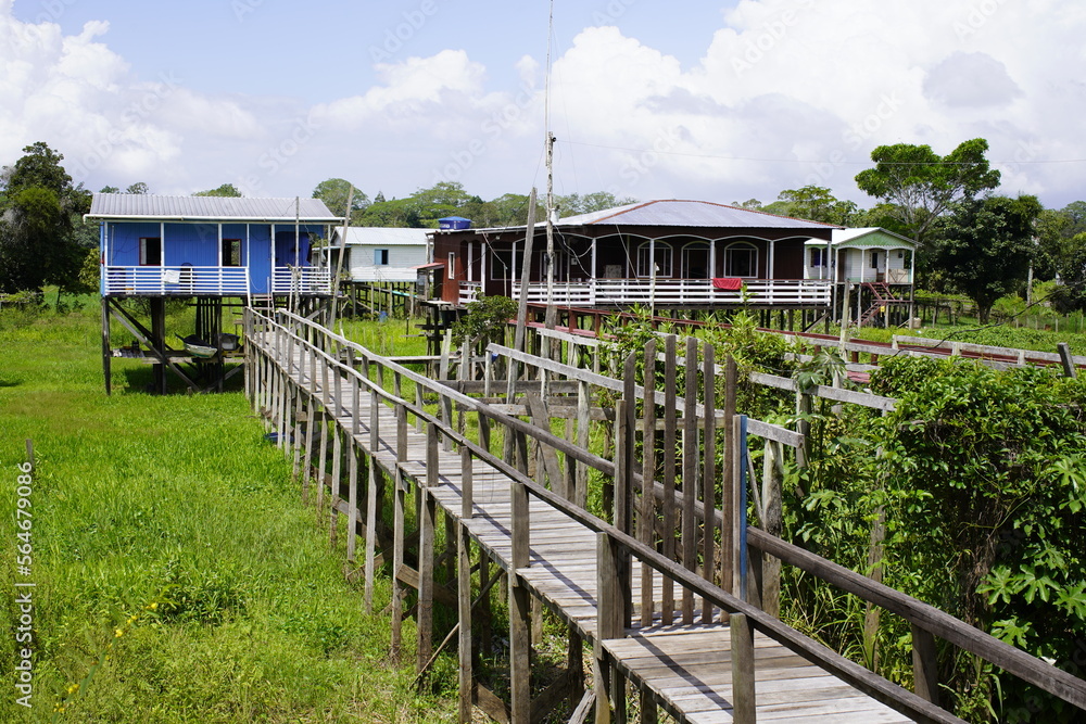 Because of the annual flood, the houses (called palafitas in Portuguese) have to be built on high stilts to protect them from the floods. Careiro - Amazonas, Brazil.

