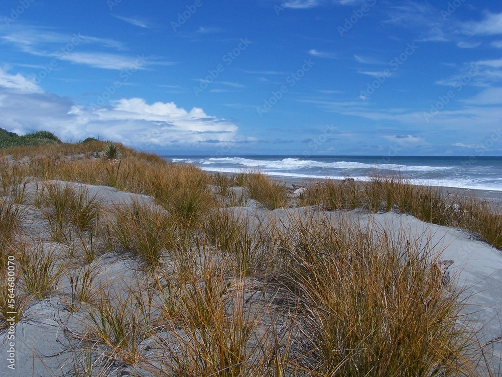 dunes in the sand dunes in the sand