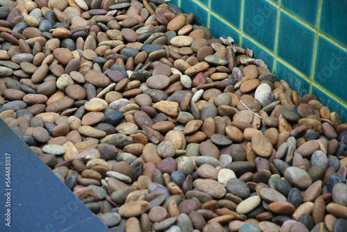 decorative stone for swimming pool background