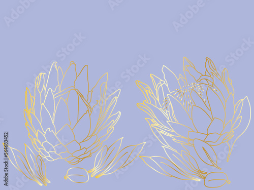 golden gradient outline protea flowers pattern background. abstract golden floral wallpaper