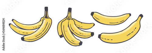 Vector banana set. Cute collection with bananas. Peeled banana, banana bunch and banana slice. Tropical fruit.