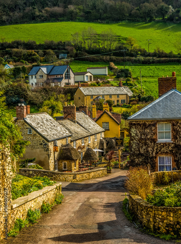 Branscombe. Devon, UK photo