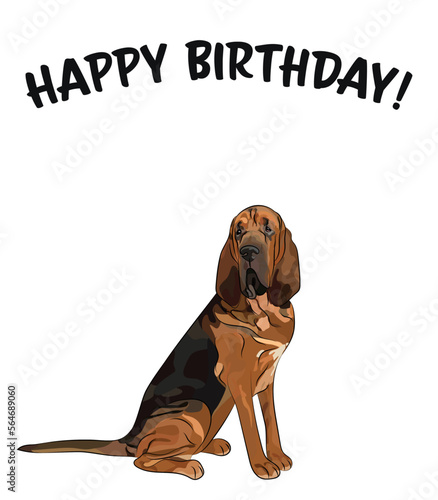 Happy birthday card with dog, holiday design. Present for a dog lover. Cartoon dog breed illustration.  Minimalistic greeting card. Fun Bloodhound dog character party card. Holiday present, surprise.