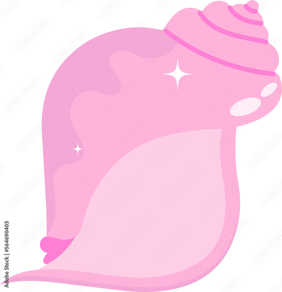 The pink shell The pink shell