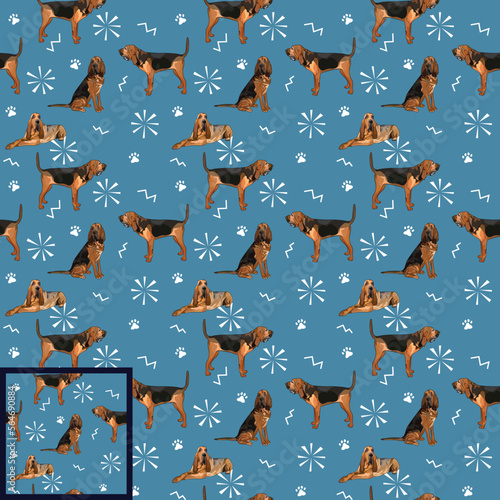 Seamless Bloodhound dog blue and beige pattern, holiday texture. Square format, poster, packaging, textile, socks, textile, fabric, decoration, wrapping paper. Hand-drawn Bloodhound mascots.