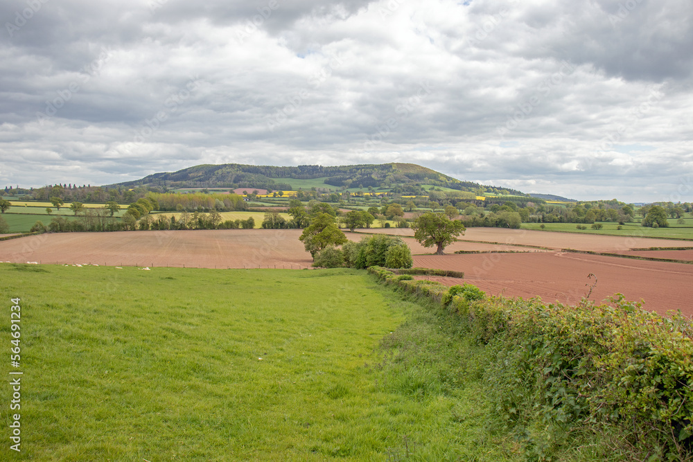Landscape in the UK.