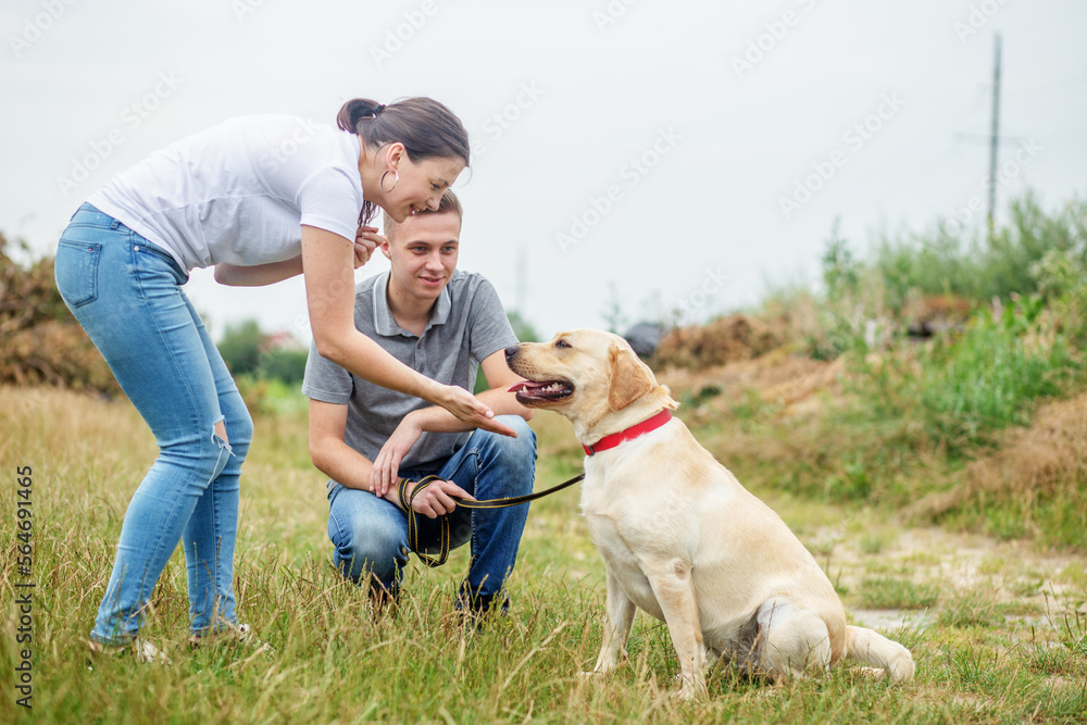 High Five. Teaching your dog different commands outdoors in summer High Five. Teaching your dog different commands outdoors in summer