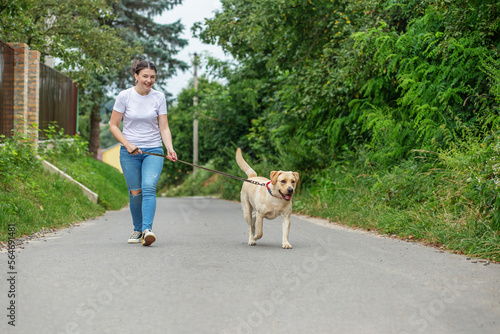 Happy young woman jogging with labrador dog. Playing pets, pet concept.