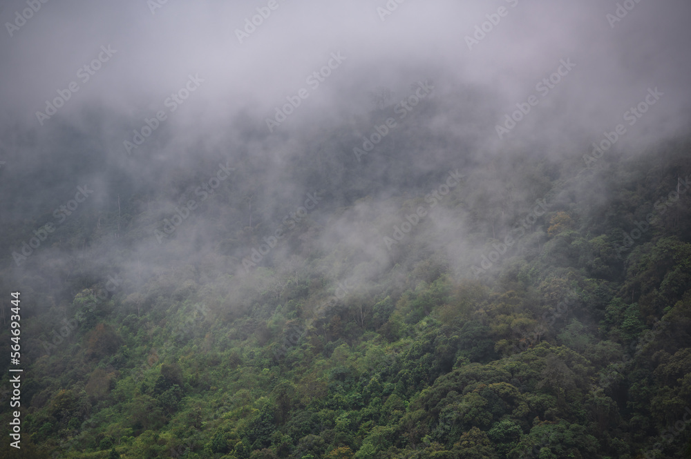 Beautiful view on the mountain and the mist in the forest at monjong mountain