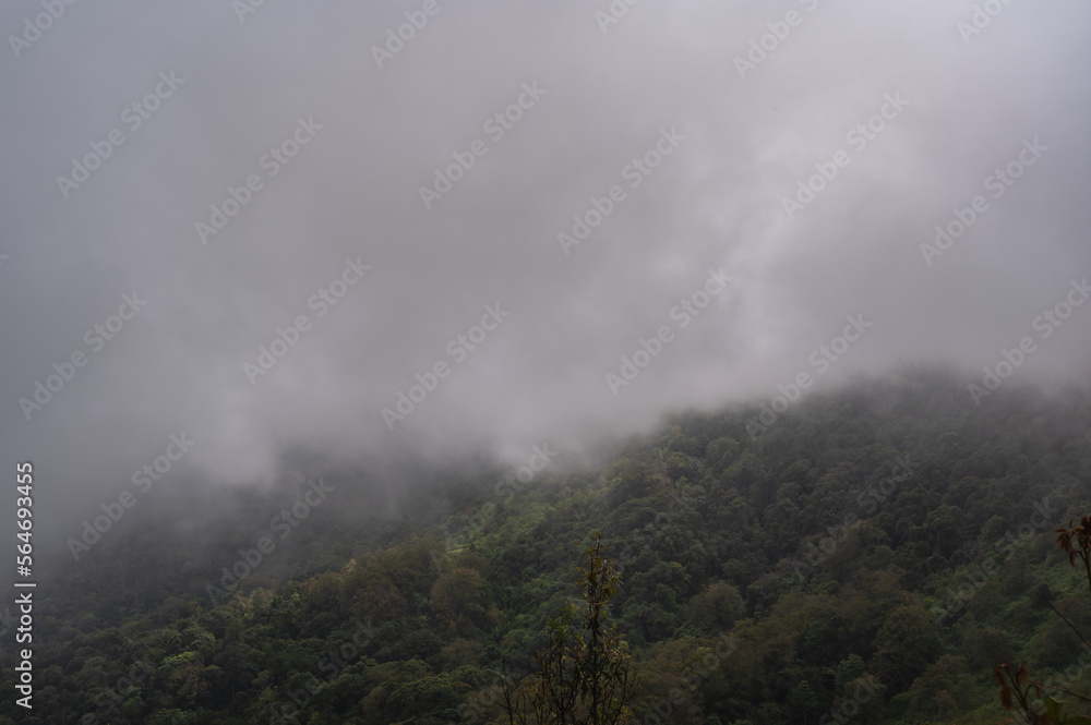 Beautiful view on the mountain and the mist in the forest at monjong mountain